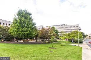 2411 North Capitol St NE, Washington, DC 20002 - Photo 33