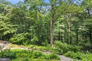 3001 Veazey Terrace NW, Washington, DC 20008 - Photo 9