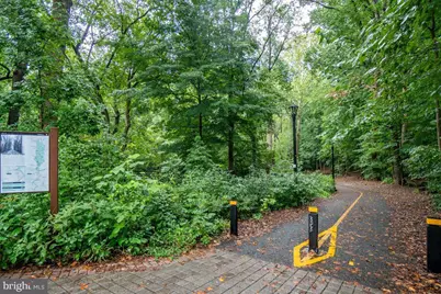 2737 Devonshire Place NW #110, Washington, DC 20008 - Photo 37
