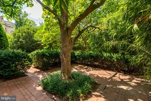 1661 Crescent Pl NW, Washington, DC 20009 - Photo 33