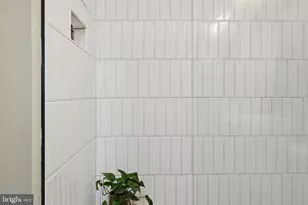 5319 4th St NW, Washington, DC 20011 - Photo 25
