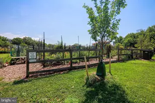 3990 Langley Ct NW, Washington, DC 20016 - Photo 15