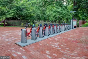 3041 Sedgwick NW, Washington, DC 20008 - Photo 41