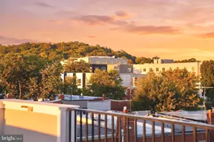 1516 Levis St NE, Washington, DC 20002 - Photo 13