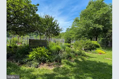 3801 Newark Street NW #A427, Washington, DC 20016 - Photo 23