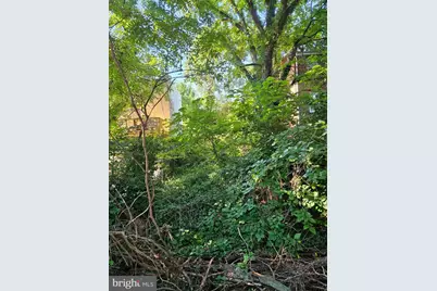 4224 Foote Street NE, Washington, DC 20019 - Photo 5