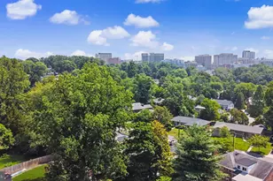 1905 Tulip St NW, Washington, DC 20012 - Photo 75