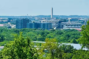 1308 Talbert Ct SE, Washington, DC 20020 - Photo 3