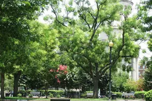 1669 Columbia Rd NW, Washington, DC 20009 - Photo 19