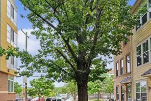 663 Anacostia Ave NE, Washington, DC 20019 - Photo 47