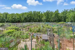 4000 Tunlaw Rd NW, Washington, DC 20007 - Photo 43