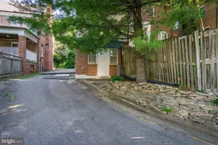 1626 Kalmia Rd NW, Washington, DC 20012 - Photo 47