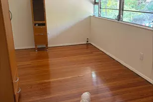 2218 NW Tunlaw Road NW, Washington, DC 20007 - Photo 15