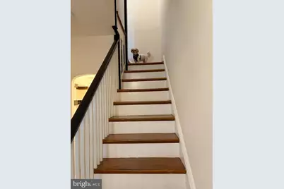 2218 NW Tunlaw Road NW, Washington, DC 20007 - Photo 9