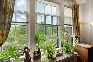 3000 Tilden St NW, Washington, DC 20008 - Photo 9