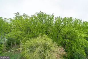 4200 NW Cathedral Ave NW, Washington, DC 20016 - Photo 63