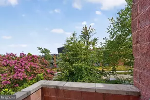 1233 S St NW, Washington, DC 20009 - Photo 23
