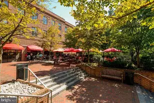 4383 Westover Pl NW, Washington, DC 20016 - Photo 41