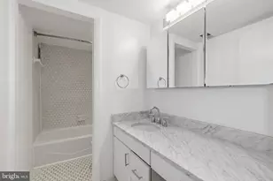 308 East Capitol St NE, Washington, DC 20003 - Photo 29