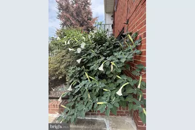 7413 8th Street NW, Washington, DC 20012 - Photo 5