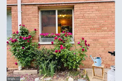 2710 Macomb Street NW #111, Washington, DC 20008 - Photo 19