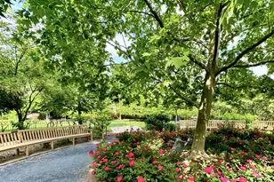 2153 California St NW, Washington, DC 20008 - Photo 19