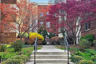 5405 9th St NW, Washington, DC 20011 - Photo 3