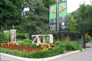 3411 33rd Pl NW, Washington, DC 20008 - Photo 39