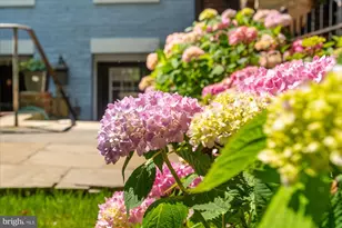 28 Bryant St NW, Washington, DC 20001 - Photo 25