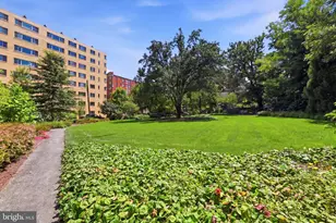 4600 Connecticut Ave NW, Washington, DC 20008 - Photo 43