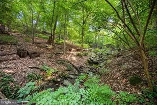 2807 Chesterfield Pl NW, Washington, DC 20008 - Photo 25