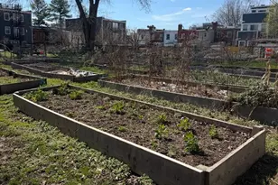 2029 E NE, Washington, DC 20002 - Photo 3