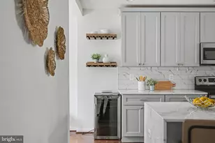 236 Peabody St NW, Washington, DC 20011 - Photo 15
