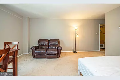 1425 4th Street SW #A601, Washington, DC 20024 - Photo 9