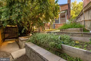 1636 Kalmia Rd NW, Washington, DC 20012 - Photo 57