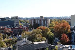 1444 Belmont St NW, Washington, DC 20009 - Photo 13