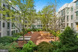 4101 Albemarle St NW, Washington, DC 20016 - Photo 23