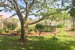 3980 Langley Ct NW, Washington, DC 20016 - Photo 43