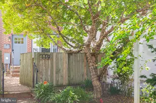 119 15th St NE, Washington, DC 20002 - Photo 35