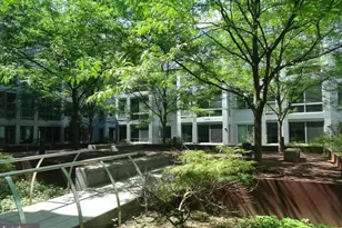 4101 Albemarle St NW, Washington, DC 20016 - Photo 5