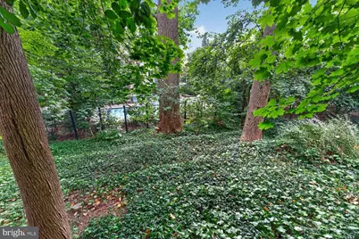 3214 Newark Street NW, Washington, DC 20008 - Photo 21