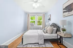 241 Ingraham St NW, Washington, DC 20011 - Photo 19