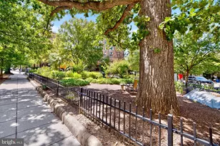 1621 T St NW, Washington, DC 20009 - Photo 21
