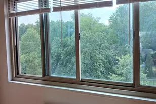 4600 Connecticut NW, Washington, DC 20008 - Photo 17