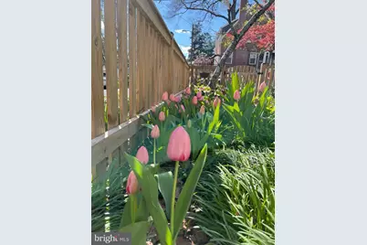 6707 6th Street NW, Washington, DC 20012 - Photo 45