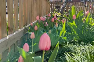 6707 6th St NW, Washington, DC 20012 - Photo 45