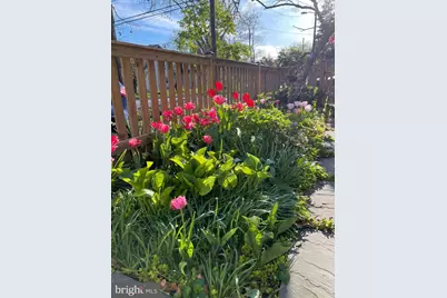 6707 6th Street NW, Washington, DC 20012 - Photo 47