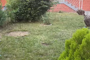 4433 Texas Ave SE, Washington, DC 20019 - Photo 5