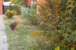 4433 Texas Ave SE, Washington, DC 20019 - Photo 3