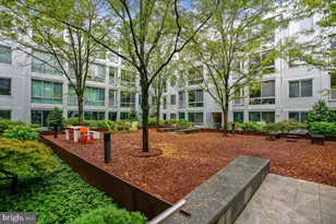 4101 Albemarle St NW, Washington, DC 20016 - Photo 39